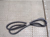 7195442 Уплотнитель BMW X6 E71 2007-2014 20540447 #1