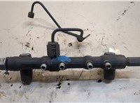  Рампа (рейка) топливная Nissan Navara 2004-2015 20540632 #4