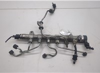  Рампа (рейка) топливная Hyundai Tucson 3 2015-2021 20540688 #1