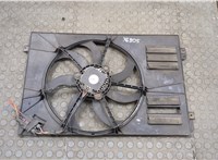  Вентилятор радиатора Skoda Octavia (A5) 2004-2013 20540929 #1