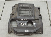  Накладка декоративная на ДВС Hyundai Terracan 2001-2007 20540944 #1