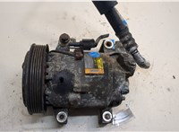  Компрессор кондиционера Nissan Primera P12 2002-2008 20540998 #1