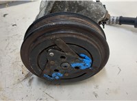  Компрессор кондиционера Nissan Primera P12 2002-2008 20540998 #6