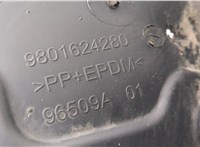 9801624280 Защита арок (подкрылок) Citroen C4 Cactus 2014-2025 20541048 #3