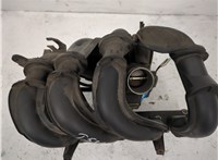  Коллектор впускной Ford Fiesta 2001-2007 20541387 #1