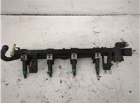 1429840, 98MF9F593BC Форсунка топливная Ford Fiesta 2001-2007 20541408 #1