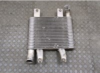  Радиатор интеркулера Hyundai Terracan 2001-2007 20541491 #1