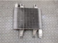  Радиатор интеркулера Hyundai Terracan 2001-2007 20541491 #2