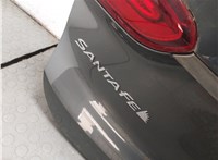 72800S2100, 81800S2100, 92403S2100, 92404S2100, 98700S1000 Крышка (дверь) багажника Hyundai Santa Fe 2018-2024 20542558 #7