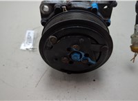  Компрессор кондиционера Peugeot 406 1995-1999 20542661 #3