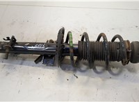  Амортизатор подвески Seat Ibiza 4 2008-2015 20542870 #1