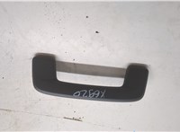  Ручка потолка салона Volkswagen ID.4 20542902 #1