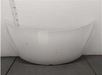  Капот Opel Zafira C 2011-2019 20542909 #1