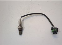 12612430 Лямбда зонд Opel Ampera 2011-2015 20542959 #1