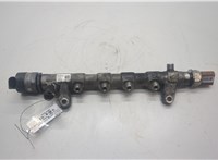  Рампа (рейка) топливная Volkswagen Passat 7 2010-2015 Европа 20543098 #1