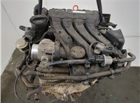  Компрессор кондиционера Audi A3 (8P) 2003-2013 11470439 #11