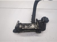  Охладитель отработанных газов Renault Laguna 2 2001-2007 20543833 #2