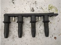  Катушка зажигания Opel Astra H 2004-2010 20543960 #1