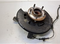 308118, 13248527, 328001, 13502829 Ступица (кулак, цапфа) Opel Zafira C 2011-2019 20544492 #1