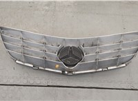 A1698802183, A2078170016 Решетка радиатора Mercedes B W245 2005-2011 20544941 #5