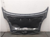 F51009U0M0 Капот Nissan Note E11 2005-2013 20545496 #4