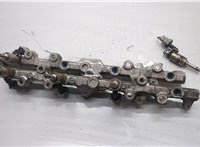 166001LA0A, 175211LA0A, 175221LA0A Форсунка топливная Infiniti QX56 2010-2013 20545543 #1