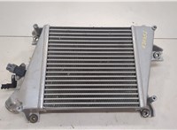 Радиатор интеркулера Nissan X-Trail (T30) 2001-2007 20545767 #1