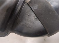  Измеритель потока воздуха (расходомер) Citroen Berlingo 2008-2012 20545883 #3