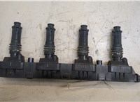  Катушка зажигания Opel Corsa C 2000-2006 20547199 #1