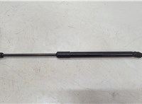 654711LA0A Амортизатор капота Infiniti QX56 2010-2013 20547327 #1