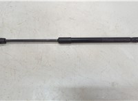 654711LA0A Амортизатор капота Infiniti QX56 2010-2013 20547327 #2