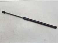 654701LA0A Амортизатор капота Infiniti QX56 2010-2013 20547330 #2
