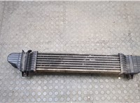 A2205000000 Радиатор интеркулера Mercedes S W220 1998-2006 20547335 #1