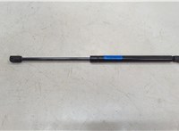  Амортизатор капота Lexus GX 2002-2009 20547341 #1