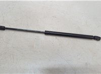  Амортизатор капота Lexus GX 2002-2009 20547341 #2