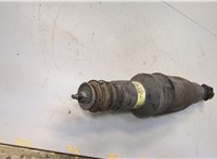  Амортизатор подвески Infiniti QX56 2010-2013 20547452 #3