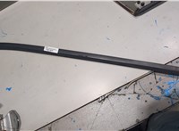  Молдинг стекла (боковое) Chevrolet Bolt 2016-2021 20547502 #1