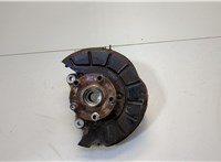  Ступица (кулак, цапфа) Volkswagen Passat 6 2005-2010 20547556 #1