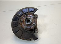  Ступица (кулак, цапфа) Volkswagen Passat 6 2005-2010 20547575 #1