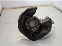  Ступица (кулак, цапфа) Volkswagen Passat 6 2005-2010 20547591 #1