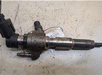 9802448680 Форсунка топливная Ford Focus 3 2011-2015 20547593 #1