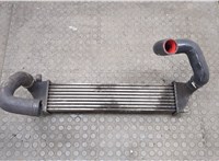  Радиатор интеркулера Land Rover Freelander 1 1998-2006 20547779 #1