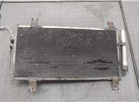  Радиатор кондиционера Mazda 6 (GH) 2007-2012 20547807 #1