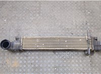  Радиатор интеркулера Mercedes E W211 2002-2009 20547879 #1