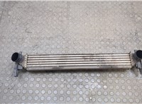  Радиатор интеркулера Seat Ibiza 3 2001-2008 20547956 #1