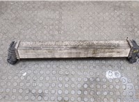 Радиатор интеркулера Seat Ibiza 3 2001-2008 20547956 #2
