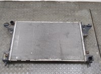  Радиатор охлаждения двигателя Opel Ampera 2011-2015 20548128 #2