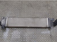 FB539L440BB, FB5Z6K775B Радиатор интеркулера Ford Explorer 2015-2019 20548527 #1