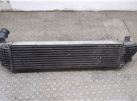 FB539L440BB, FB5Z6K775B Радиатор интеркулера Ford Explorer 2015-2019 20548527 #2