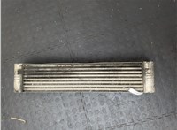 17517791909, 7791909 Радиатор интеркулера BMW 5 E60 2003-2010 20548550 #5